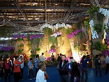 2013-orchid-show-09