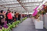 2013-taiwan-orchid-show-02